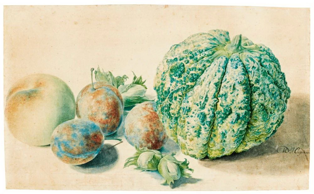 Natura morta con zucca e frutta